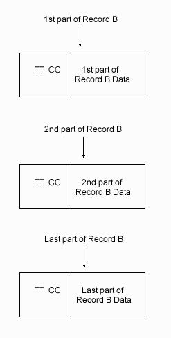 This diagram depicts the
part of Record B. The 1st part is comprised of TT CC and the 1st part of Record
B data. The 2nd part is comprised of TT CC and the 2nd part of Record B data.
The last part of Record B is comprised of TT CC and the last part of Record
B data.