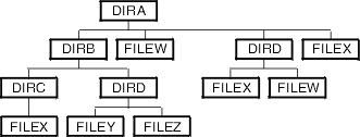 Structure of a hierarchical directory