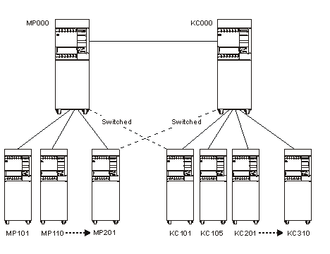 Alternative Network Paths