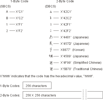 Graphic showing examples
of hexadecimal codes for single-byte and double-byte characters.