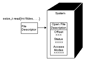 File descriptor and open file description