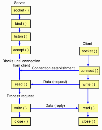 The client/server relationship of the sockets API for a connection-oriented design