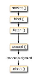 This graphic shows the socket calls that are used in the example program that uses signals.