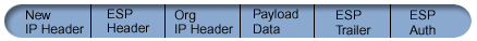 Graphic showing datagram after applying IPSec ESP in tunnel mode. New IP header followed by ESP header followed by Original IP header followed by Payload data followed by ESP Trailer followed by ESP authentication