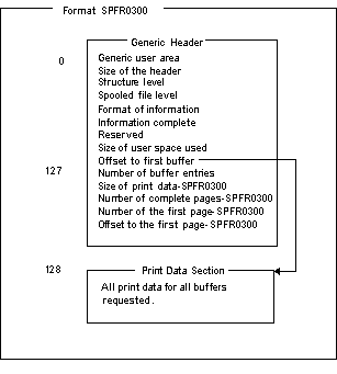 Format SPFR0300