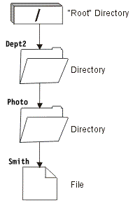 The components of a path name