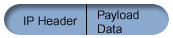 Graphic showing an IPv4 datagram with IP header followed by Payload data