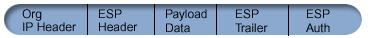 Graphic showing datagram after applying IPSec ESP in transport mode. Original header followed by ESP header followed by Payload data followed by ESP Trailer followed by ESP authentication