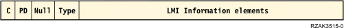 LMI message frame format